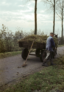 849845 Afbeelding van een man met een paard en wagen met gemaaid gras.